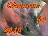Olomouc 2019